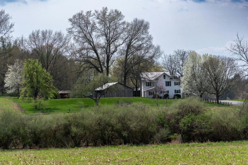 Idyllic rural house nestled in lush greenery and blossoming trees during spring.